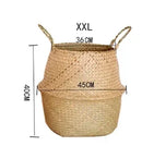 hanging wicker basket for flowers or storage