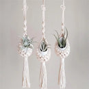 macrame wall hanger for air plants bohemian style