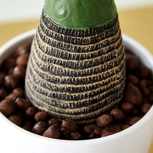 Artificial tropical palm tree in pot for indoor and outdoor decoration - vue 6 sur 9