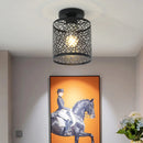 Modern iron pendant light with retro metal cage