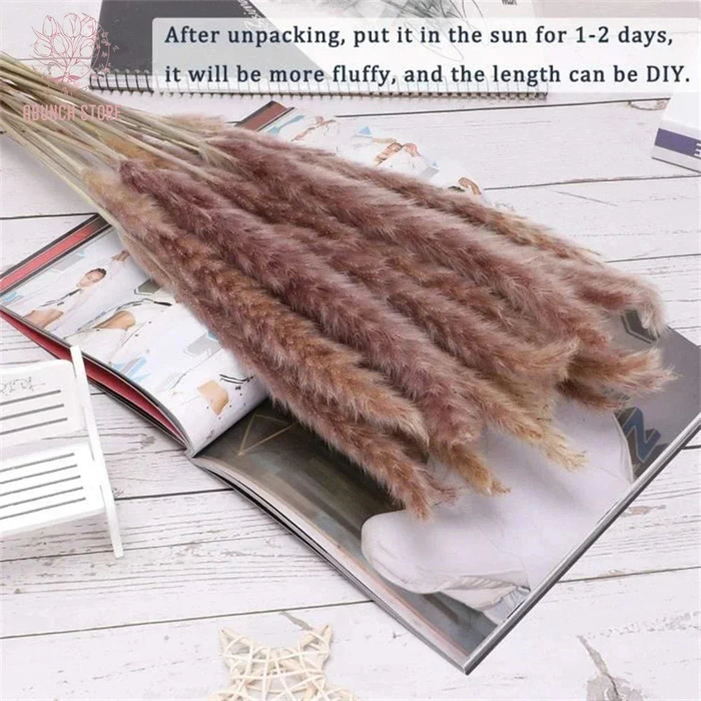 Set of 100 pampas grass bouquets for boho wedding decoration - vue 4 sur 13