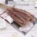 Set of 100 pampas grass bouquets for boho wedding decoration