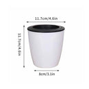 modern self-watering planter for succulents and orchids