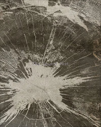 Abstract tree rings canvas art modern home decoration