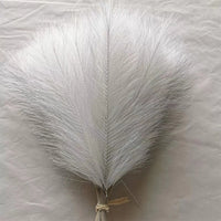 Set of artificial pampas for wedding and party decoration