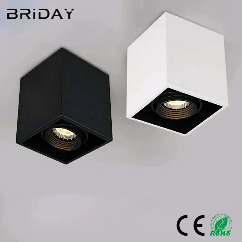 Waterproof dimmable LED ceiling light for outdoor use