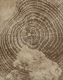 Abstract tree ring posters for interior decoration