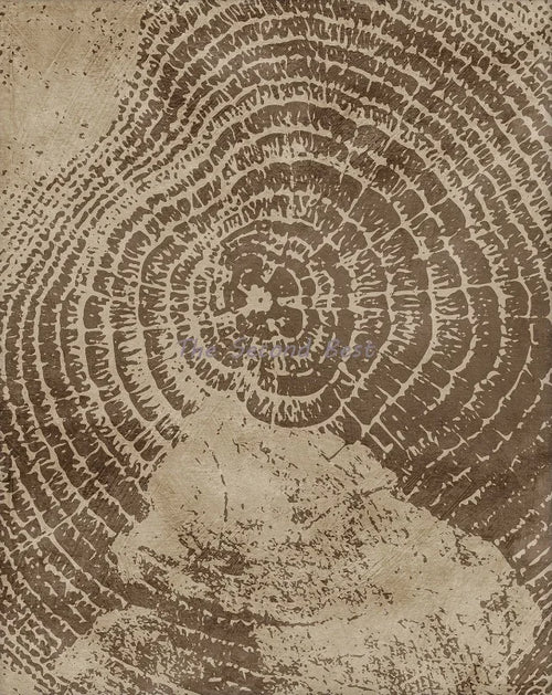 Abstract tree ring posters for interior decoration