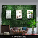 Artificial plant wall for outdoor decoration and landscaping