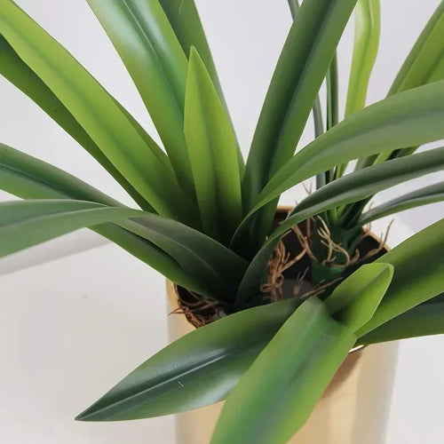 Artificial clivia leaves in soft rubber for indoor decoration - vue 2 sur 9