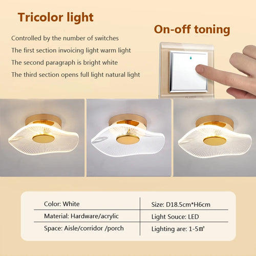 Modern acrylic LED ceiling light for decorative interiors - vue 15 sur 18
