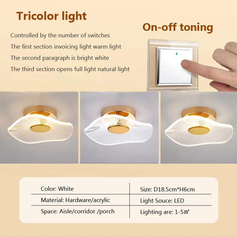 Modern acrylic LED ceiling light for decorative interiors - vue 14 sur 18