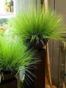 Artificial onion grass plant for wedding, garden and home decoration