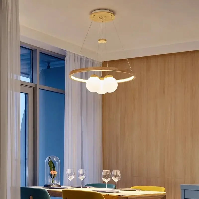 Modern glass globe LED pendant ceiling light