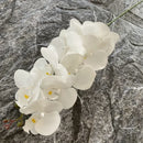 Artificial phalaenopsis decorative orchid for weddings and gardens