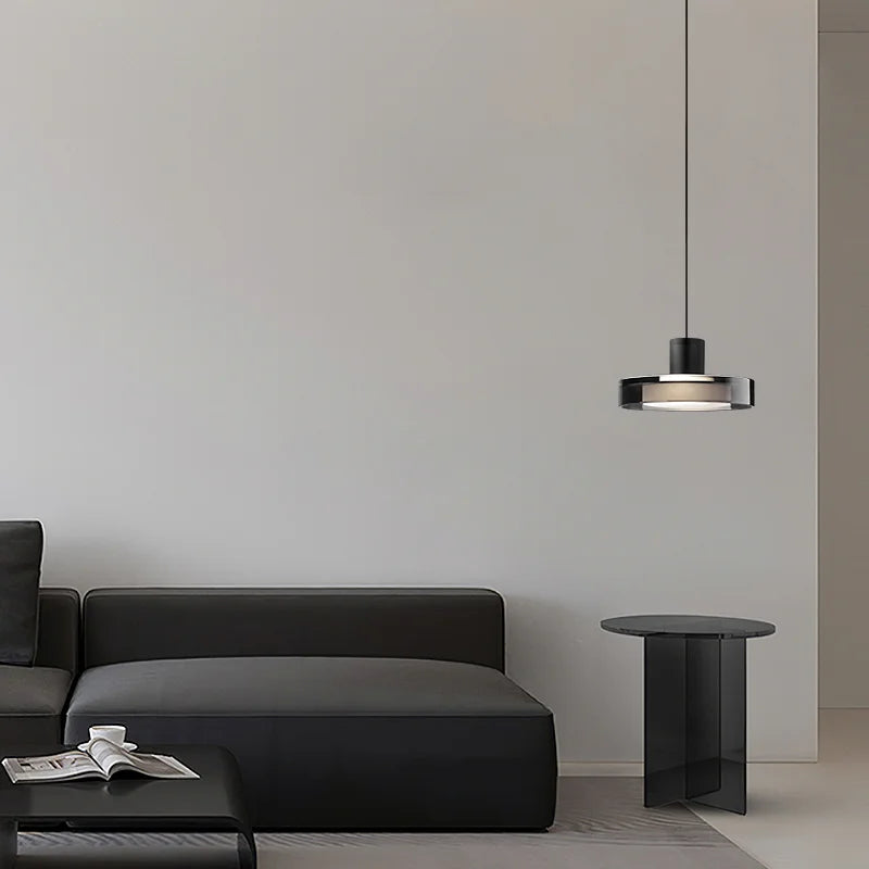 Modern stainless steel and glass designer pendant light
