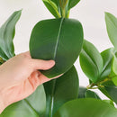 Artificial magnolia ficus decorative plant for indoor and outdoor