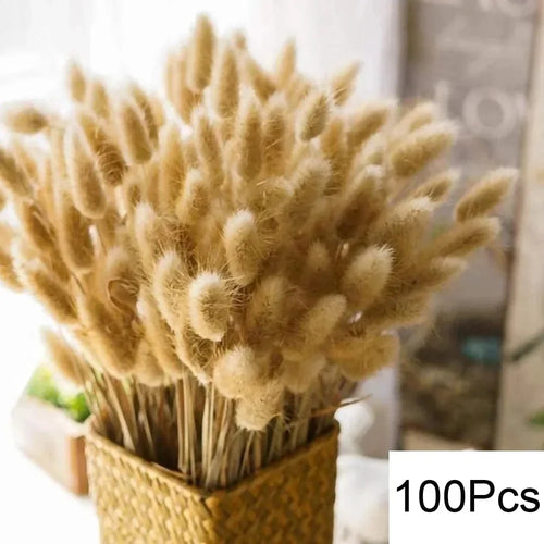 Set of 100 pampas grass bouquets for boho wedding decoration - vue 14 sur 13