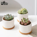 set of 2 ceramic pots with drainage for indoor plants