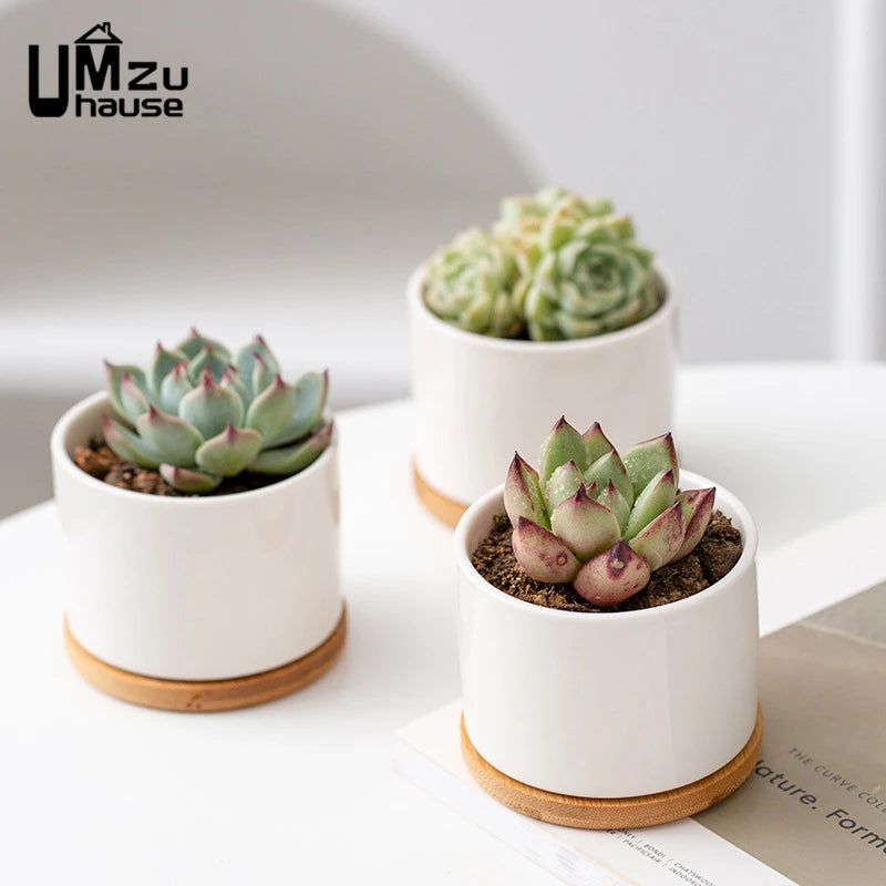set of 2 ceramic pots with drainage for indoor plants - vue 5 sur 7