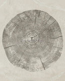 Abstract tree rings posters for wall decoration