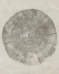 Abstract tree rings posters for wall decoration
