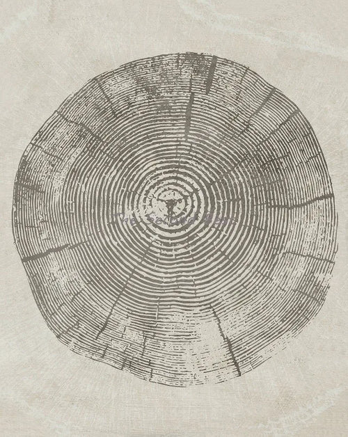 Abstract tree rings posters for wall decoration