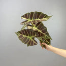 Set of 2 artificial leaves for autumn party decoration
