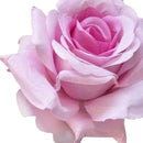 Artificial pink roses for elegant and modern home decoration