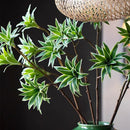 Tropical potted plant with decorative palm and bamboo