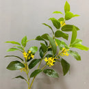 Set of 6 artificial silk osmanthus plants for commercial decoration