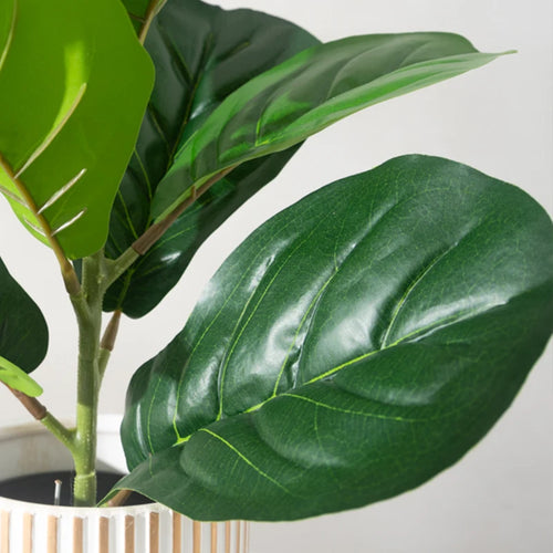 Artificial ficus plant with banyan leaves for garden or office decoration - vue 6 sur 6