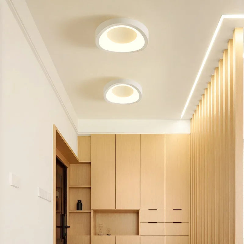 Nordic LED ceiling light for living room