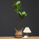 Artificial ficus tree branch for indoor and outdoor decoration