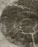 Abstract tree rings wall art posters