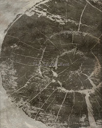 Abstract tree rings wall art posters