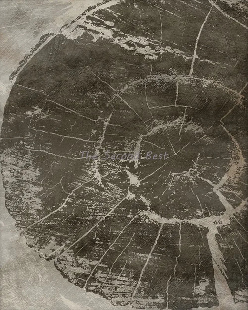Abstract tree rings wall art posters