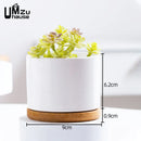 set of 2 ceramic pots with drainage for indoor plants