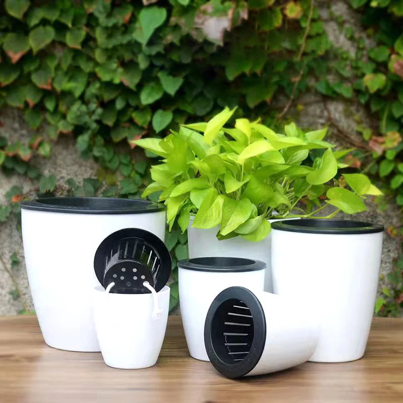 modern self-watering planter for succulents and orchids - vue 3 sur 12