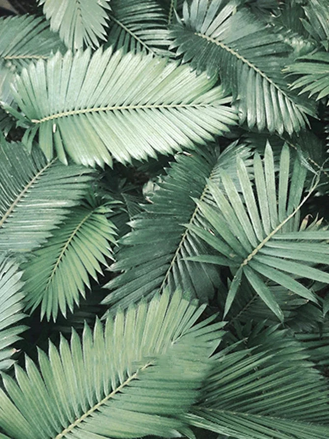 5d diamond painting green plant mosaic embroidery wall decor