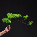 Pine bonsai table ornament for modern decor