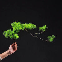 Pine bonsai table ornament for modern decor