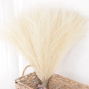 Set of artificial pampas grass bouquets for indoor decoration