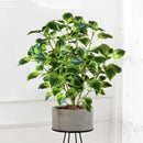 Artificial eucalyptus tropical plant for indoor decoration