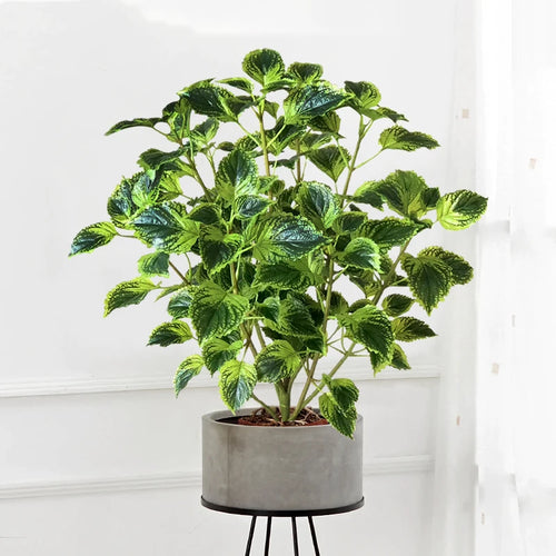 Artificial eucalyptus tropical plant for indoor decoration - vue 4 sur 8