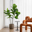 Artificial ficus branch for indoor and outdoor decoration