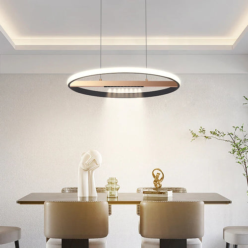 Modern round ring chandelier for indoor lighting - vue 6 sur 11