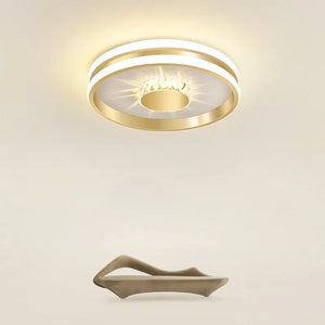 Modern LED ceiling light for luxurious indoor lighting