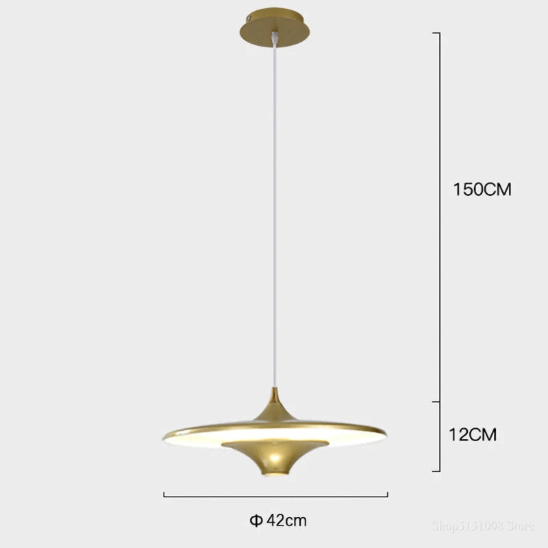 Simple designer flying saucer LED pendant light for indoor use