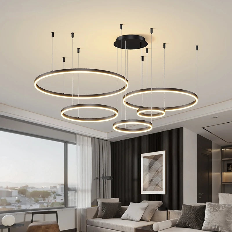 Modern brushed ring LED ceiling light